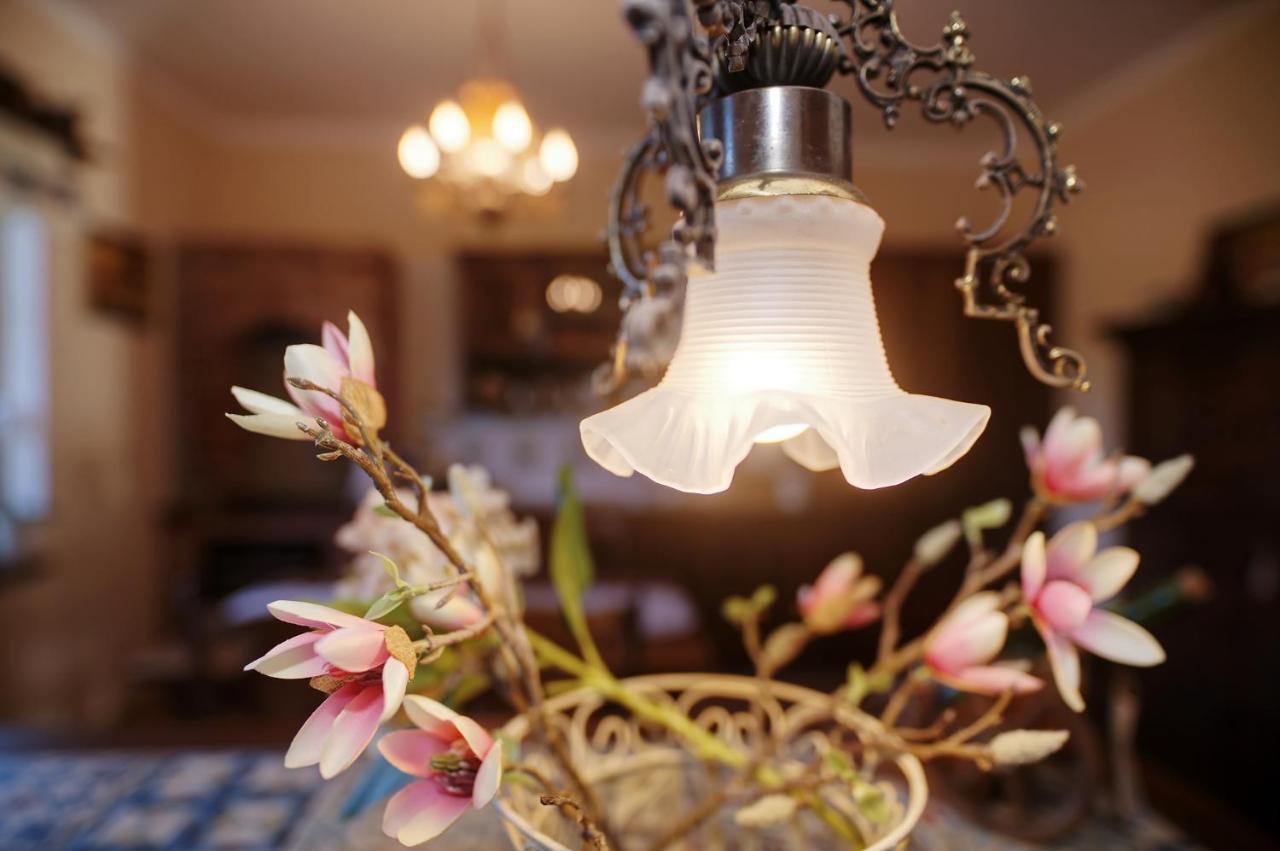 Czapla Stare Sady Bed and Breakfast Mikołajki Εξωτερικό φωτογραφία